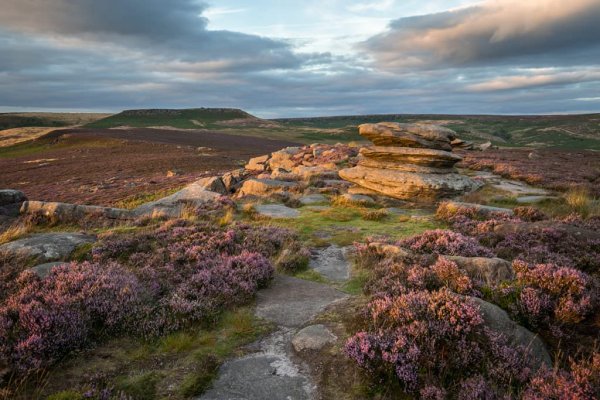 Кракен площадка торговая kr2web in